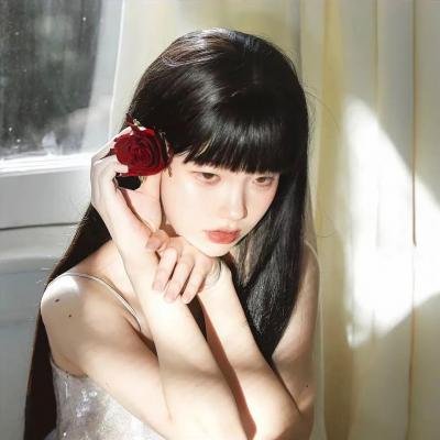 美洲狮公司
